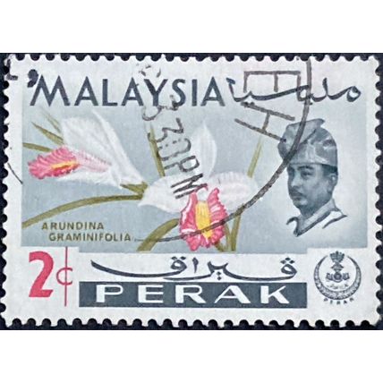 Malaya Perak QEII 1965 2c Arundina Graminifolia Used SG164 stamp flower Idris #2