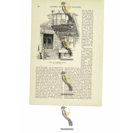 Front In Dearborn Avenue, Chicago, USA, Book Illustration (Print), 1891