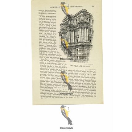 From The City & County Building, Chicago, USA, Book Illustration (Print), 1891