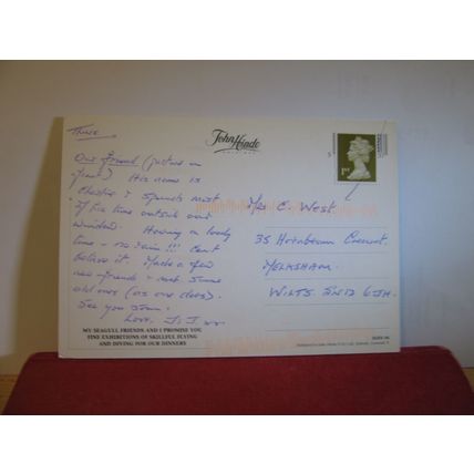 SEAGULL, PUBLIC ENEMY, used postcard by John Hinde BIRDS animals =