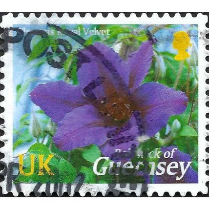 GUERNSEY, FLOWER, Clematis Royal Velvet, violet 2004, UK, #4
