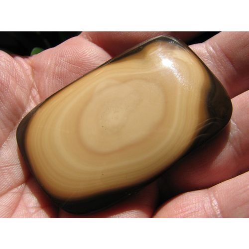 Rim Jasper (aka "Bat Cave" Jasper) Cabochon: Creamy Orbs; 148 cts; Rare Variety