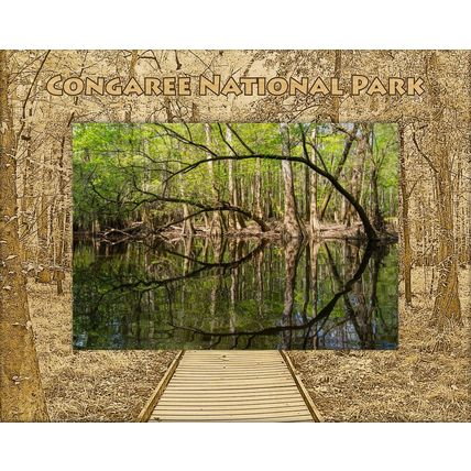 Congaree National Park Laser Engraved Wood Picture Frame (3 x 5)