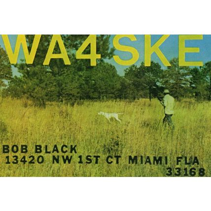 Miami Florida Man Walking Dog With Walkie Talkie QSL Radio Card