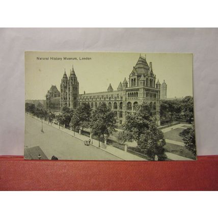 NATURAL HISTORY MUSEUM, LONDON unused antique postcard by Valentine c.1904 #