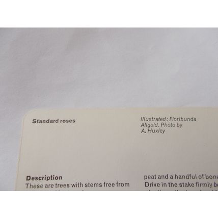 WEBBS GARDENING CARD / STANDARD ROSES (21/12) POST O SEAS