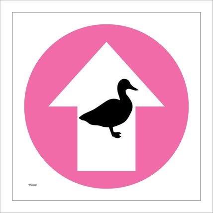 SIGN DUCKS NORTH STARIGHT AHEAD ARROW CIRCLE PINK WM084F WILDLIFE NATURE TRAIL