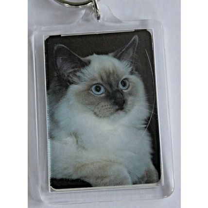 CAT BREED KEY RINGS QUALITY ACRYLIC DOUBLE SIDED PHOTO KEY RINGS 8 BREEDS