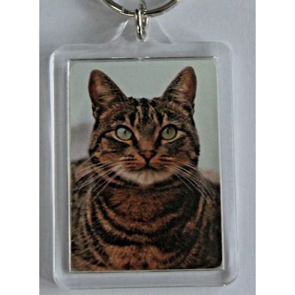 CAT BREED KEY RINGS QUALITY ACRYLIC DOUBLE SIDED PHOTO KEY RINGS 8 BREEDS