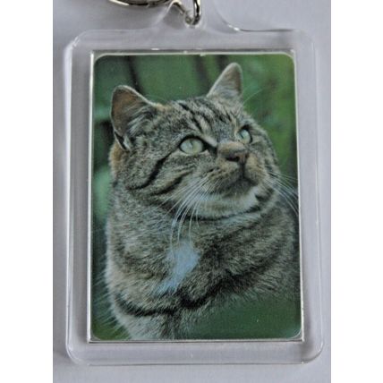 CAT BREED KEY RINGS QUALITY ACRYLIC DOUBLE SIDED PHOTO KEY RINGS 8 BREEDS