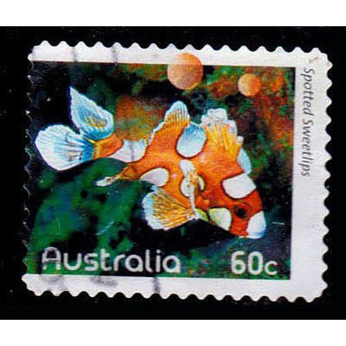 Australia 2010 Fish 60c Used Stamp 11.25 Perf. Sweetlips