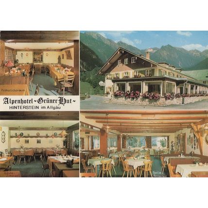 Hinterstein Bad Hindelang Alpenhotel German Hotel Postcard