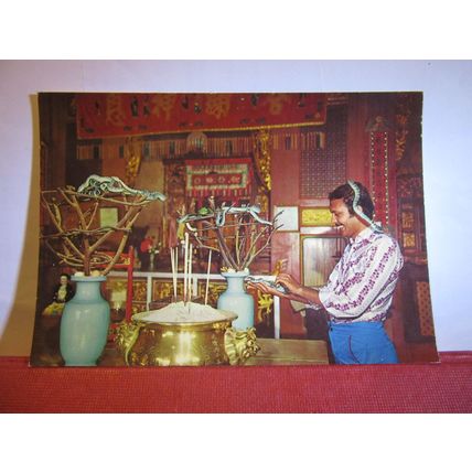 SNAKE TEMPLE, PENANG, MALAYSIA unused postcard =