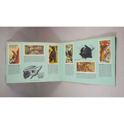 Brooke Bond Tea Card Album: 1974 Tropical Birds, Complete With All Cards