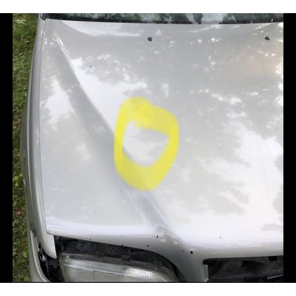 Volvo C70 S70 V70 419 Silver Hood OEM 98 99 2000 01 02 03 04