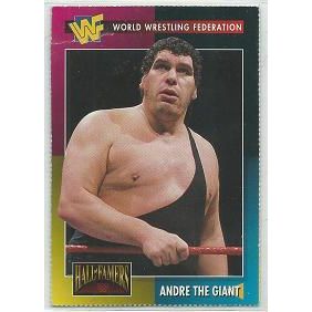 WORLD WRESTLING FEDERATION trading card # 5 ANDRE THE GIANT (1995)