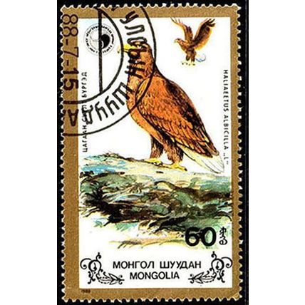 Mongolia 1988 Bird 60M Used Stamp