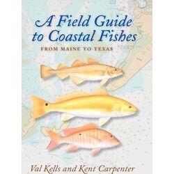 A Field Guide To Coastal Fishes
