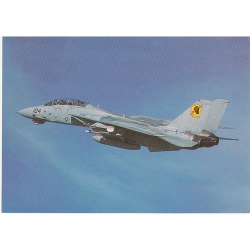 Grumman F14 Tomcat U.S. Navy Military Aircraft Postcard (AM1952)