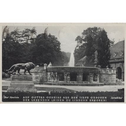 Bad Nauheim Lion Statue 100 Jahre Postmark German Postcard