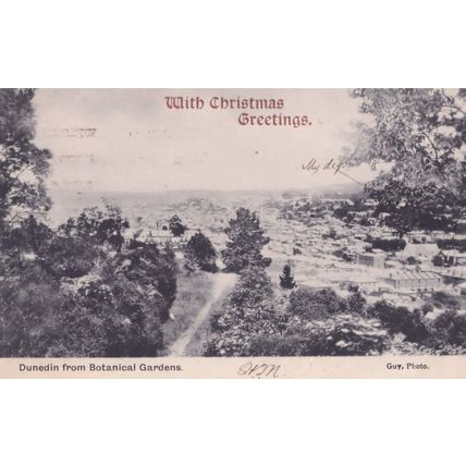 Dunedin Auckland New Zealand From Botanical Gardens Christmas Postcard