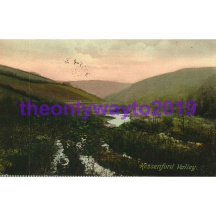Hessenford Valley, Cornwall, Rare Frith Postcard, 1914