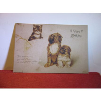 A HAPPY BIRTHDAY .. used antique postcard small breed dogs =