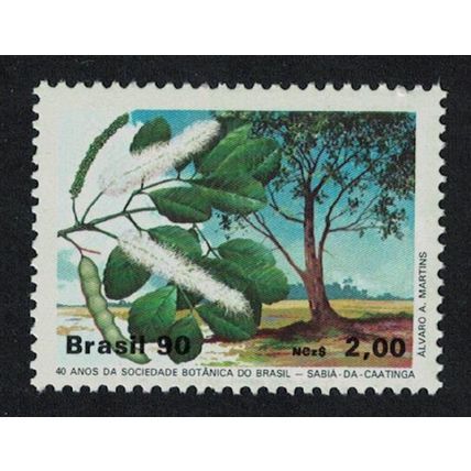 Brazil Trees 1990 MNH SG#2401