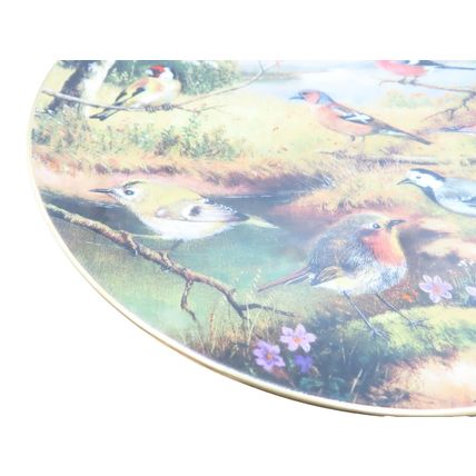 European Garden Birds German Decorative Plate By Karl-Hans Boese 1992 Home Decor