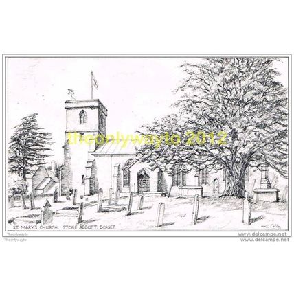 ST MARY'S CHURCH, STOKE ABBOTT (SKETCH CARD), DORSET, ENGLAND, Postcard