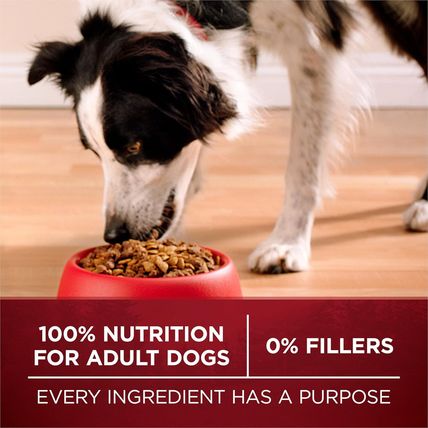 Purina ONE True Instinct with a Blend of Real Turkey and Venison Dry Dog Food -
