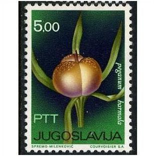 1967 Michel 1205 - MH (*)