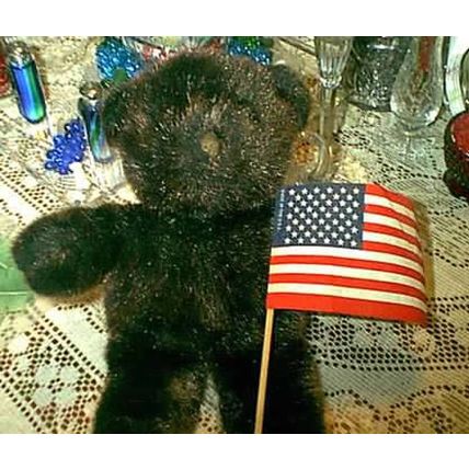 SOLDIER GRIZZLY BLACK BROWN PLUSH TEDDY BEAR WITH AMERICAN FLAG