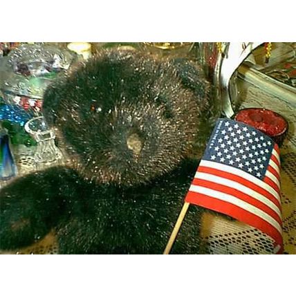 SOLDIER GRIZZLY BLACK BROWN PLUSH TEDDY BEAR WITH AMERICAN FLAG