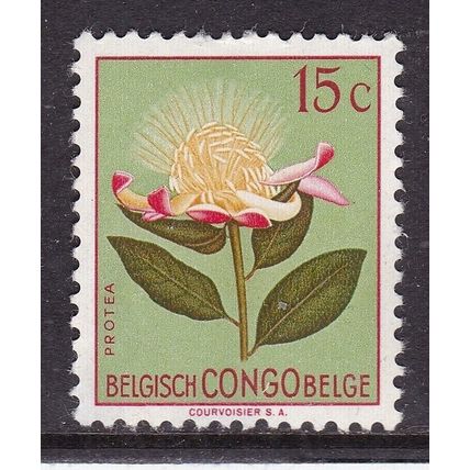 Belgian Congo 1952 Protea 15c Mint Hung SG 297 VGC