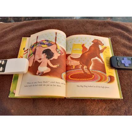 Wonder Book The Hide And Seek Duck By Irma Wilde 1952 Very Good Shape