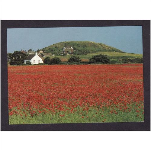 POPPYFIELD AND BEESTON HILL - NORFOLK - NICE COLOURED - UNUSED