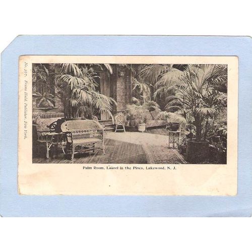 New Jersey Lakewood Palm Room Laurel In The Pines~2298