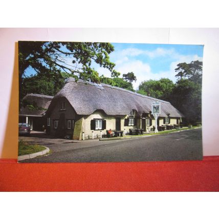 CAT & FIDDLE INN, THE NEW FOREST, unused postcard PT2717 dated 1971 =