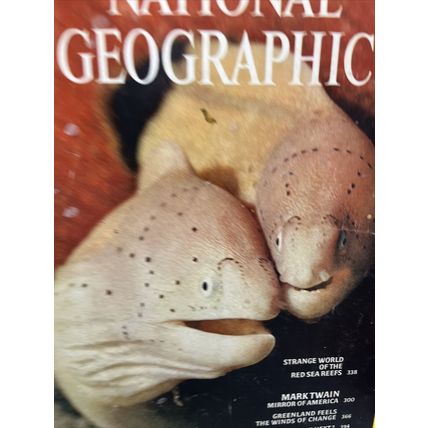 National Geographic Magazine September 1975 Red Sea Reefs - Vintage Collectable