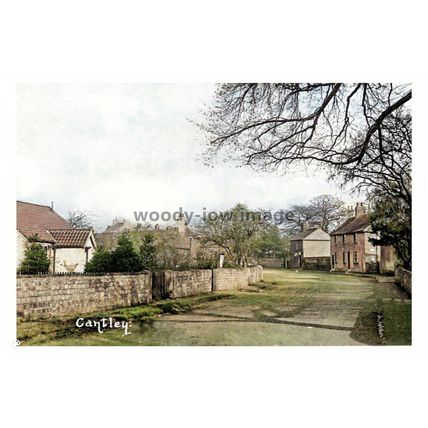 ptc1288 - Yorkshire - Cottages along Cantley St. in Cantley Village - print 6x4