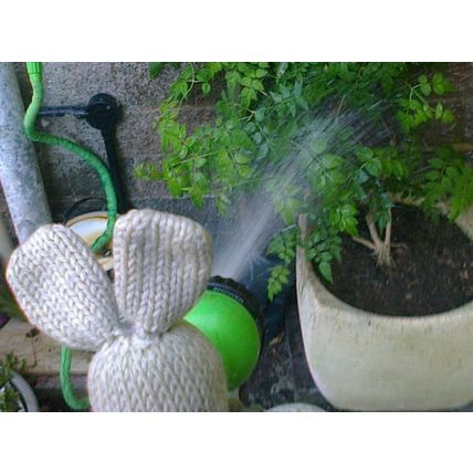 One Green Piggyback Plant House Plant posting barerooted at least 4 inches tall