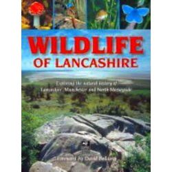Wildlife Of Lancashire