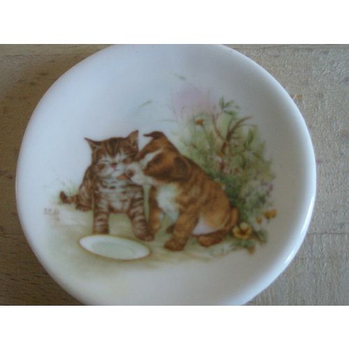 Finsbury Miniature Dolls House Size Bone China Plate - Puppy & Kitten Design
