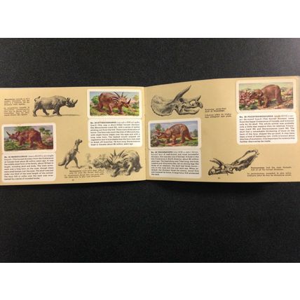 1963 Brooke Bond Album 5 Red Rose Tea 48 Cards Excellent Booklet Dinosaurs #2