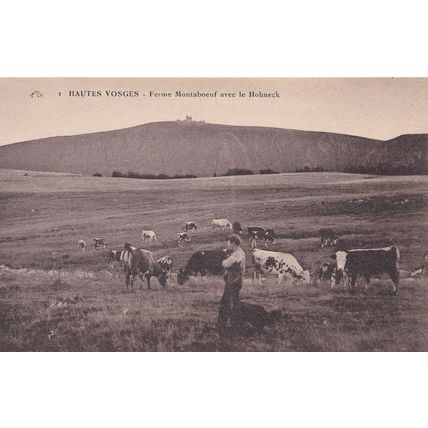 Hautes Vosges Ferme Mountain Farm French German Border Antique French Postcard
