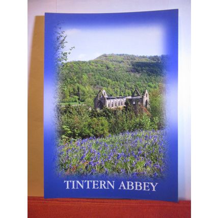 TINTERN ABBEY, MONMOUTHSHIRE, unused postcard by Judges =