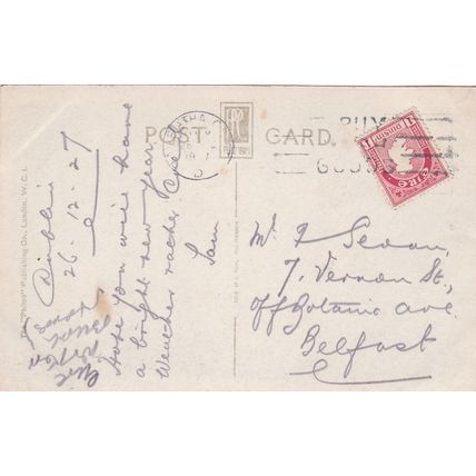 B966 DUBLIN - PHOENIX PARK . WELLINGTON MEMORIAL . RP POSTCARD