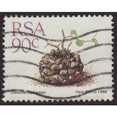 South Africa 1988 SG 666 Used - Flora/Stone Plants (C-092-04)