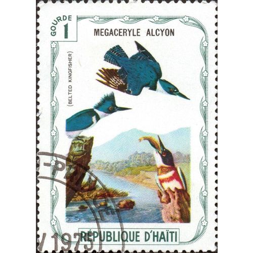 HAITI, BIRDS, Belted Kingfisher, 1975, 1 Gourde